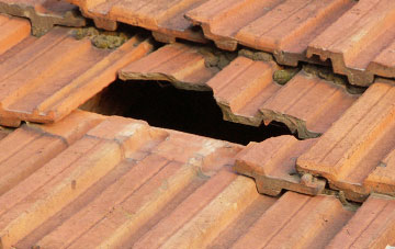 roof repair Halsfordwood, Devon